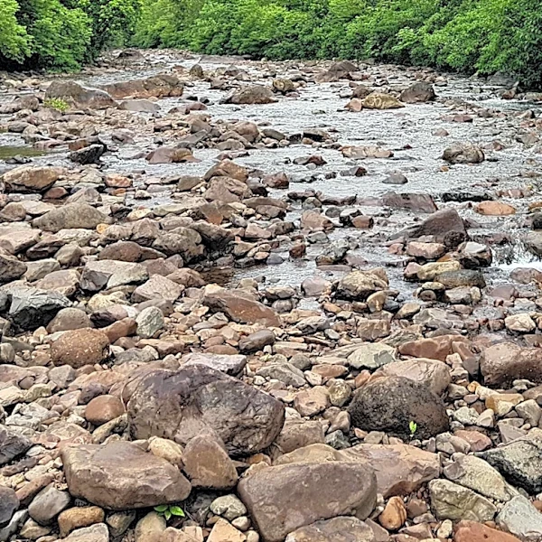 Pogue Creek Canyon Offers Scenic Views and Wildlife in Tennessee