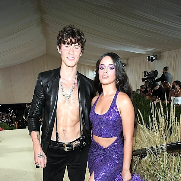Shawn Mendes' Musical Journey Explored in New Quiz