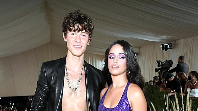Shawn Mendes' Musical Journey Explored in New Quiz