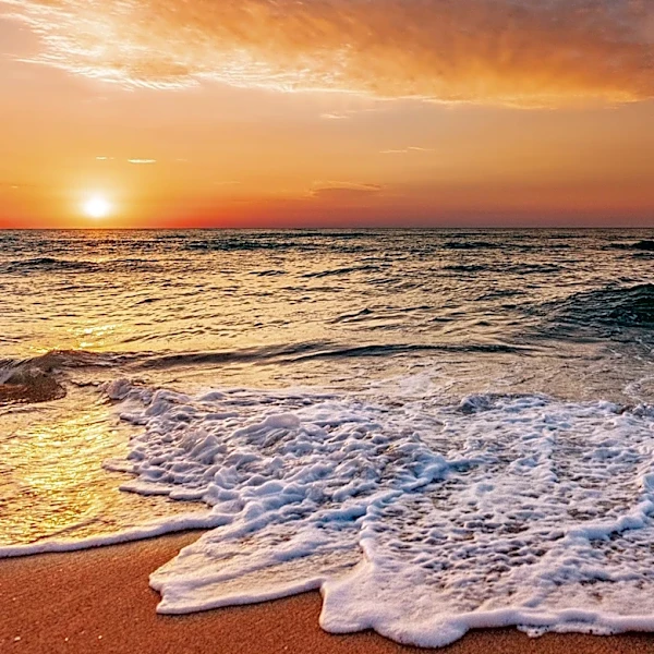 Photographer Captures Serene Moment on Brighton Beach