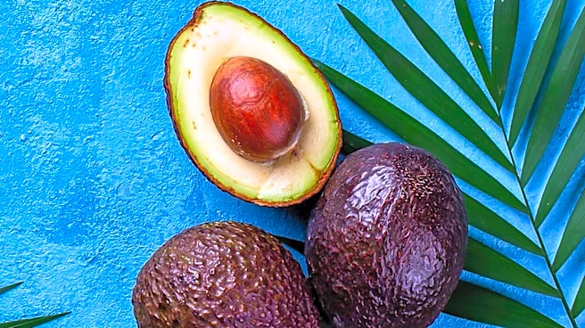 Researchers Uncover Genetic Basis of Avocado Flowering Patterns, Enhancing Breeding Efficiency