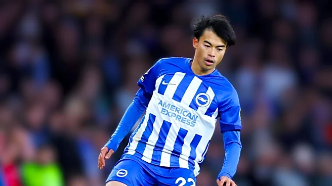Brighton Hove Albion's Strategic Moves in WSL: Building a Competitive Future