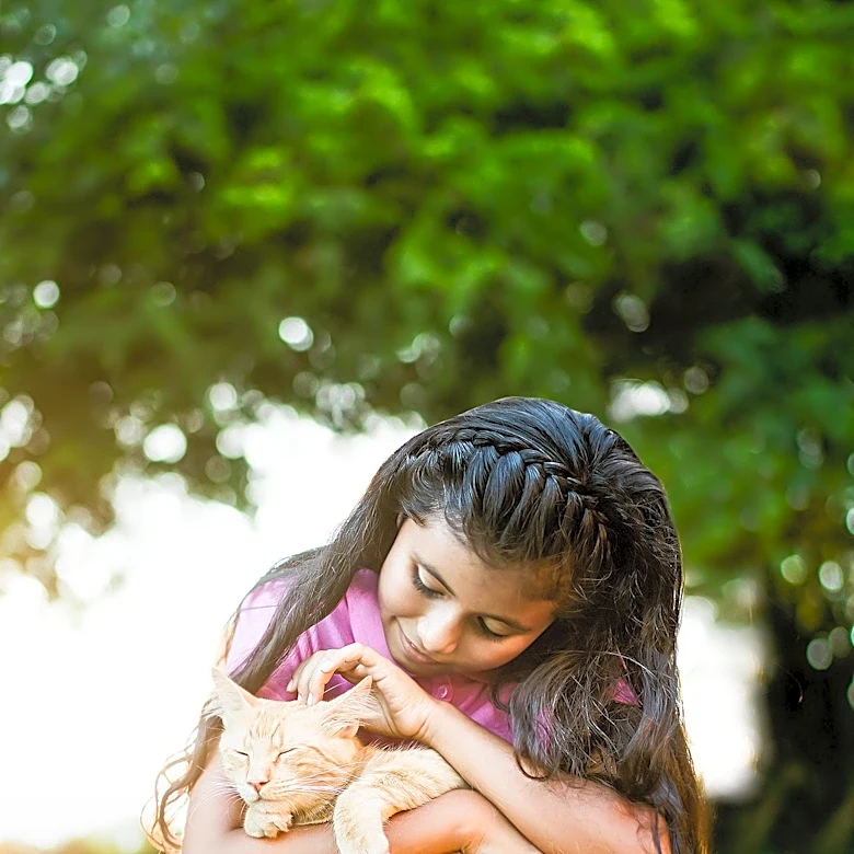 International Cat Day Celebrated with Heartwarming Stories from The Jerusalem Post Staff