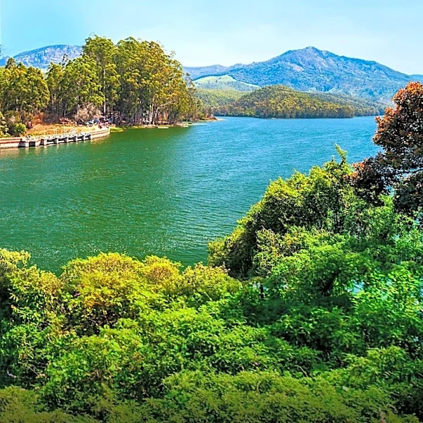 Bon Tempe Lake: A Secluded Retreat for Outdoor Enthusiasts Near San Francisco