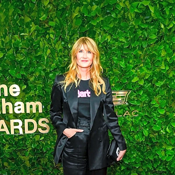 Laura Dern's Career Lull in the Late 1990s: The Blacklisting Incident