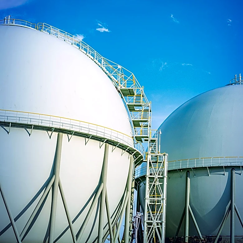 West Virginia Leaders Discuss Natural Gas Impact on Manufacturing at Industry Meeting