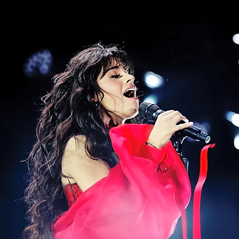 Shawn Mendes and Fifth Harmony's Camila Cabello Collaborate on Hit Song During 1989 World Tour