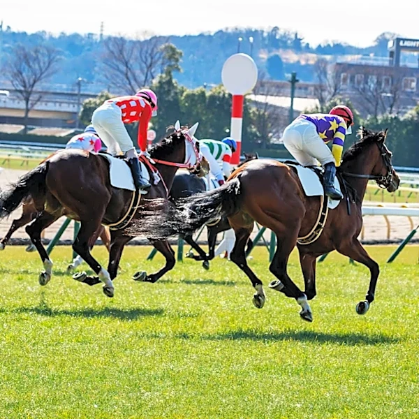 Ninja Secures Victory in Missile Stakes, Eyes The Everest