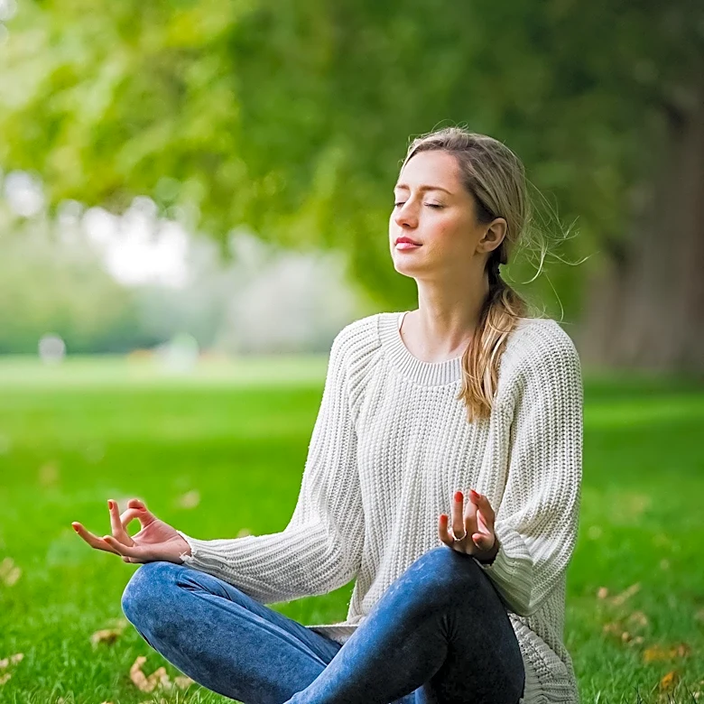 Mindfulness Therapy: A Structured Approach to Stress and Emotional Regulation