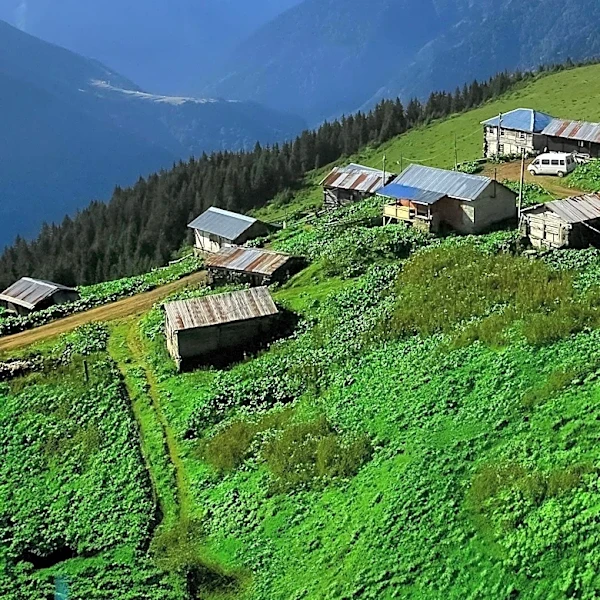 Mount Everest Guest Farm Offers Digital Detox Experience in Eco Cabins