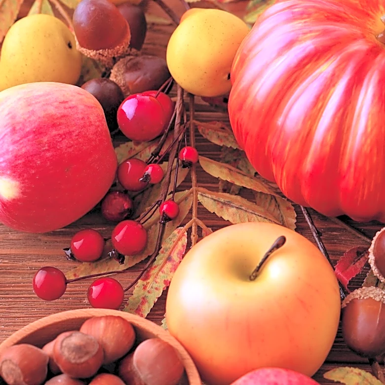 Major Retailers Launch Fall Decor Collections Early, Offering Seasonal Essentials