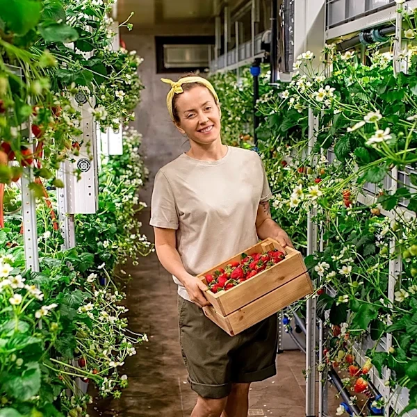 Driscoll's Partnership with Vertical Farming Highlights Shift in Agricultural Strategy