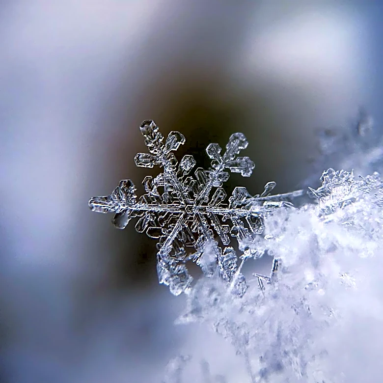 Snowflake's Stock Jumps 36% After AWS Procurement Deal, Dell Soars 40% on AI Revenue