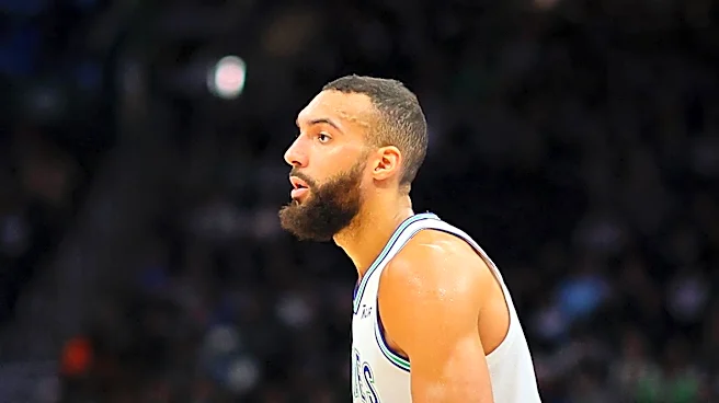 Minnesota Timberwolves Coach Chris Finch Endorses Rudy Gobert for Hall of Fame