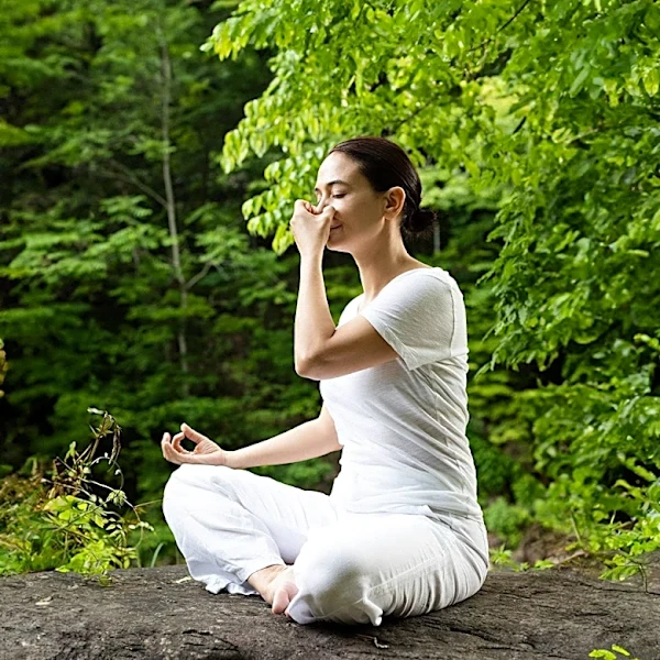 Forest Bathing: A Wellness Practice with Potential Stress-Reducing Benefits
