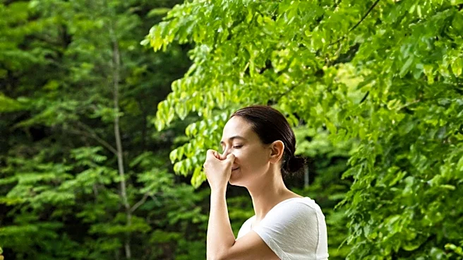 Forest Bathing: A Wellness Practice with Potential Stress-Reducing Benefits