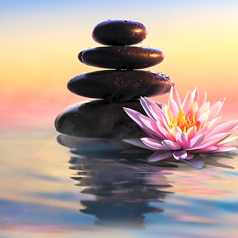 Longevity Fixation Syndrome: The Mental Health Impact on Wellness Enthusiasts