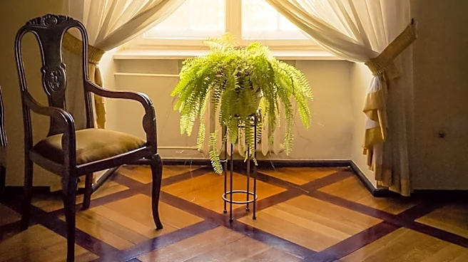 Innovative Adhesive Curtains Offer Easy Window Solutions Without Drilling