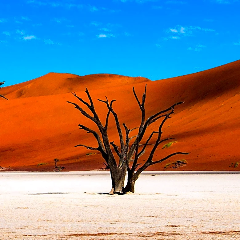 Travel Itineraries Highlight Namibia and Tasmania for Honeymoon Adventures