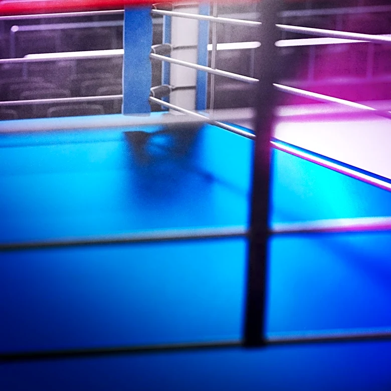 Callum Simpson Defeats Troy Williamson in Boxing Rematch