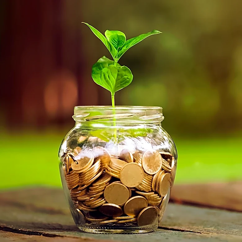 Acorns CFO Advocates Early Financial Education for Children to Foster Investment Habits