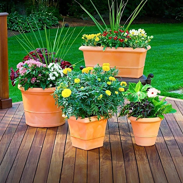 Container Gardening: Deadheading Techniques to Extend Bloom Time