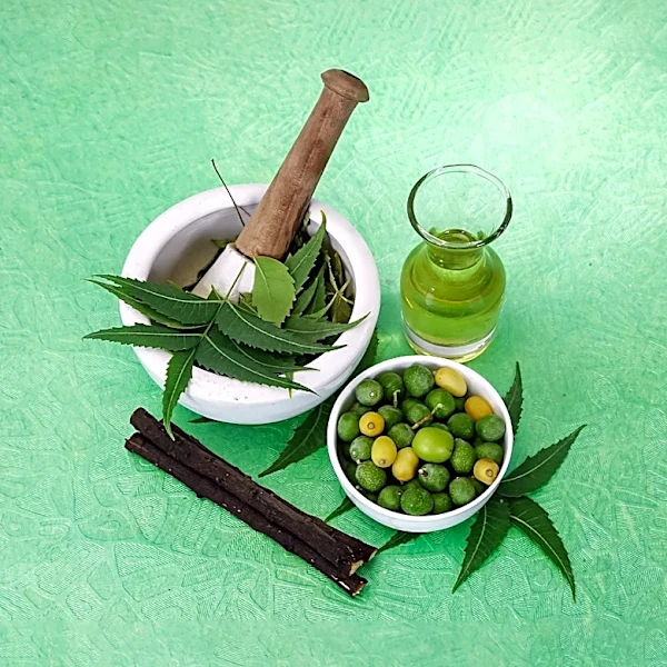 Unani Medicine Emphasizes Preventive Healthcare for Long-Term Wellness