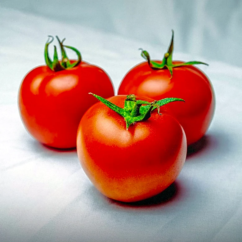 ESP32 and Machine Learning Enhance Tomato Grading Process