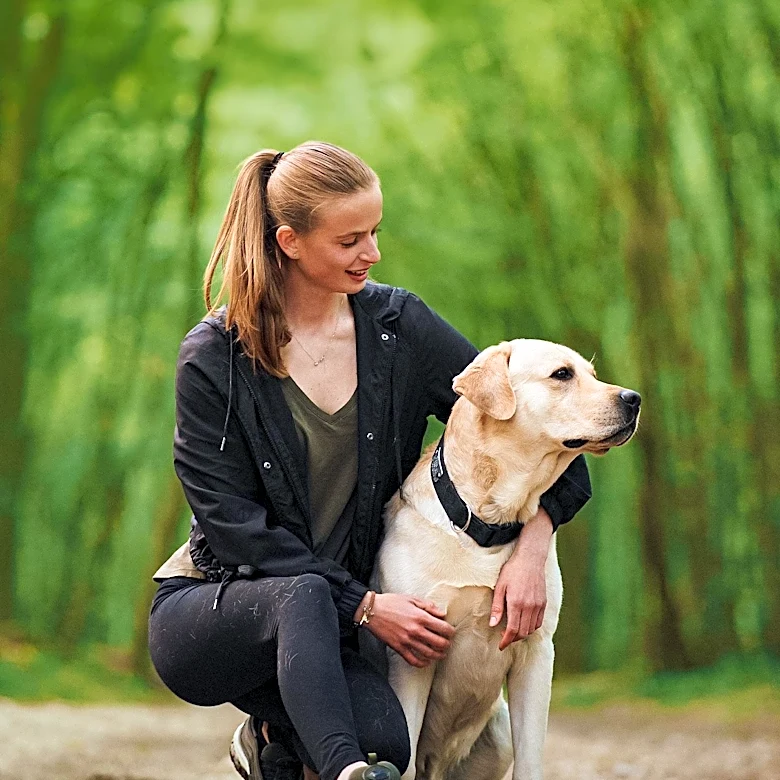 Labrador Retrievers in Kentucky Show Affection for UPS Driver, Highlighting Workplace Culture