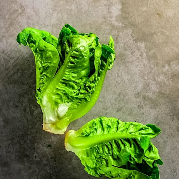 Scientists Engineer Lettuce and Tobacco to Produce Myoglobin for Meat Alternatives