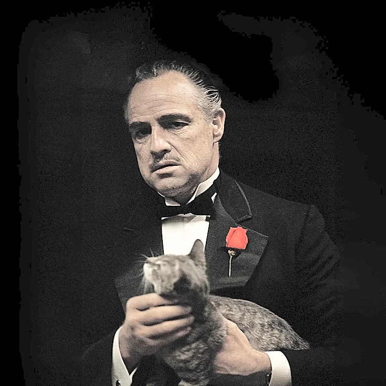 Francis Ford Coppola's 'The Godfather' Airs on Rete 4, Highlighting Its Cinematic Legacy