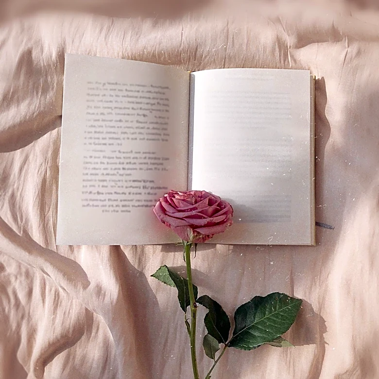 Colleen Hoover's 'Ugly Love' Explores Complex Romantic Dynamics