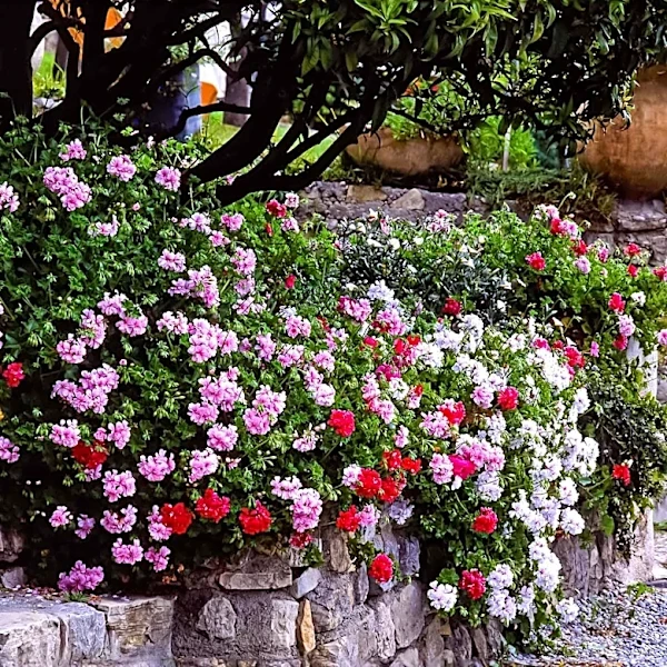Retaining Wall Upgrade: Rendering for Enhanced Durability and Water Resistance