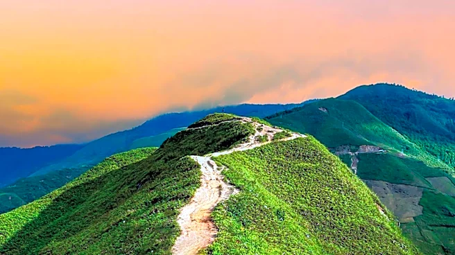Brock 'Dubs' Miller Chronicles Appalachian Trail Journey with Personal Insights