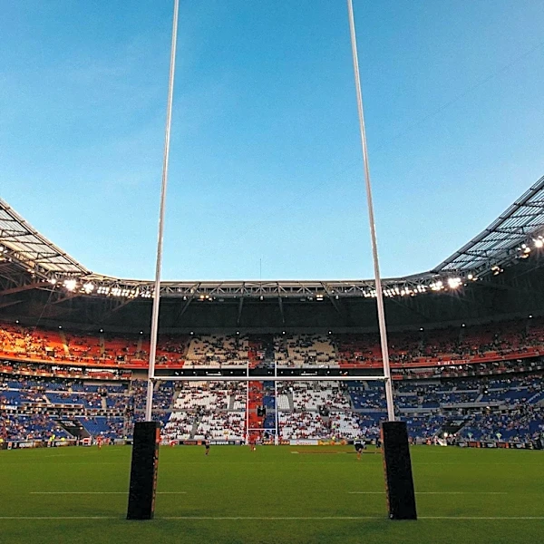 South Africa Defeats Argentina Amid Siya Kolisi's Injury Concerns