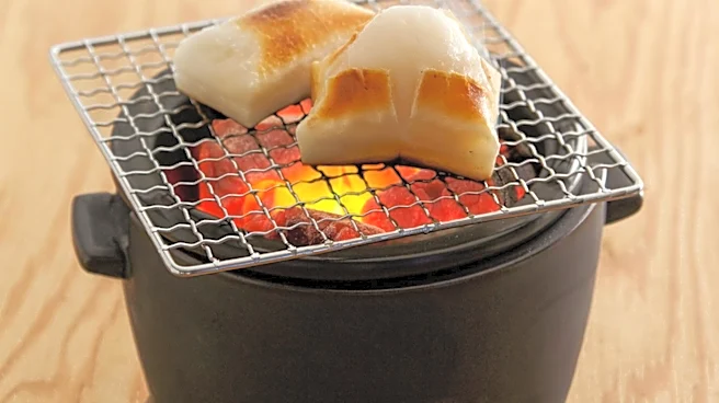 Weber's Smart Ring Transforms Charcoal Grills into Smokers