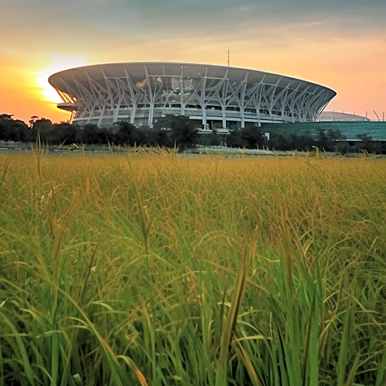 Buffalo Bills' New Stadium Praised for Grass, Criticized for Sight Lines