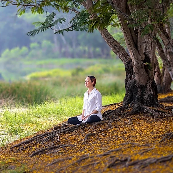 Seven-Day Meditation Retreat Shows Potential to Rewire the Brain