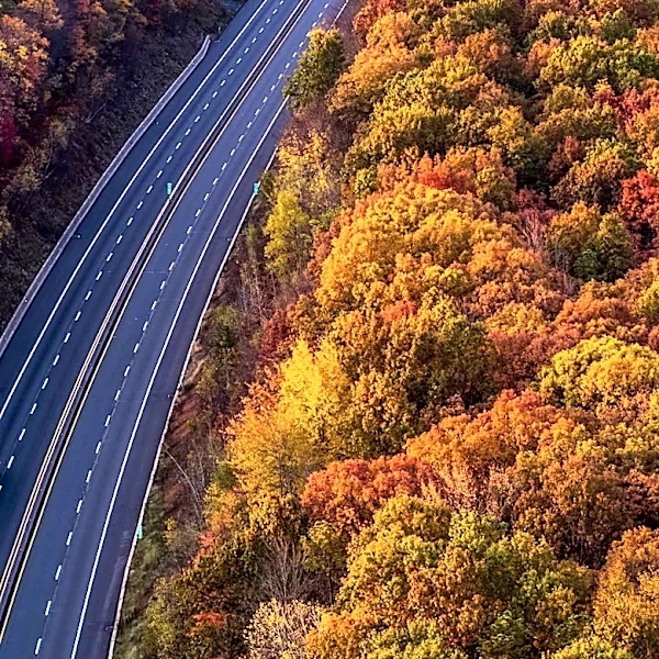 East Coast Fall Road Trips Offer Scenic Stops and Cultural Experiences