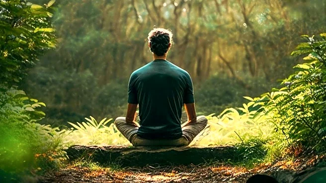 National Park Service Offers Free Forest Bathing Walks for Mindfulness