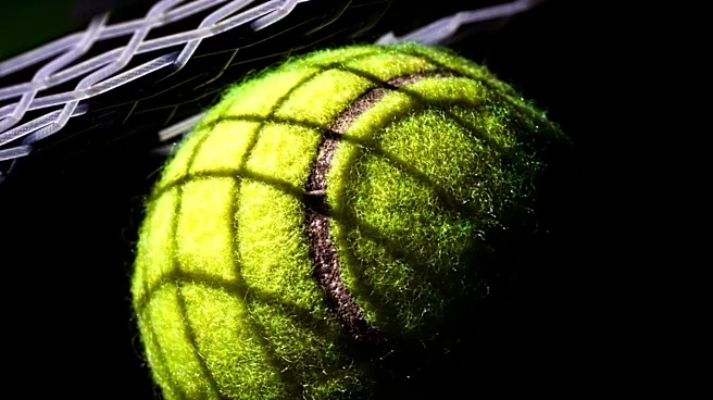 Travel Hack: Tennis Ball in Carry-On Luggage Eases In-Flight Discomfort
