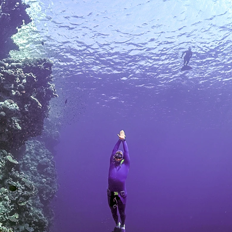 Freediving Gains Popularity as a Wellness Activity