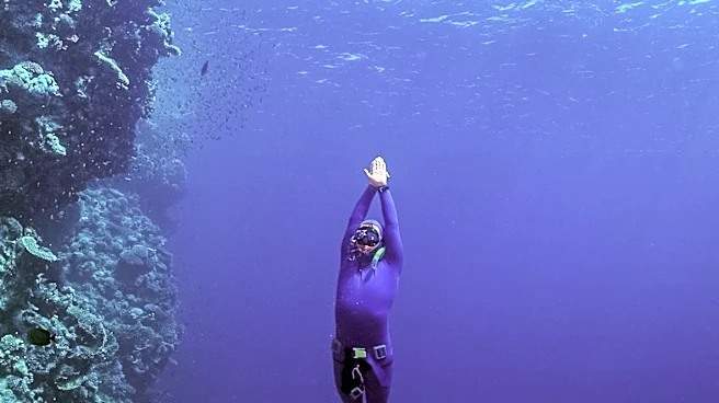 Freediving Gains Popularity as a Wellness Activity