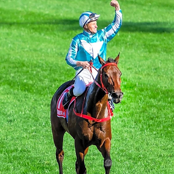 Samangan Triumphs in Prix Maurice de Gheest, Eyes Future Races