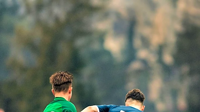 Newcastle United Eyes João Palhinha as Potential Replacement for Departed Midfielders