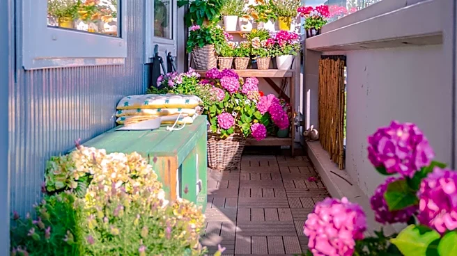Edible Gardens Benefit from Growing Certain Plants in Pots for Better Management