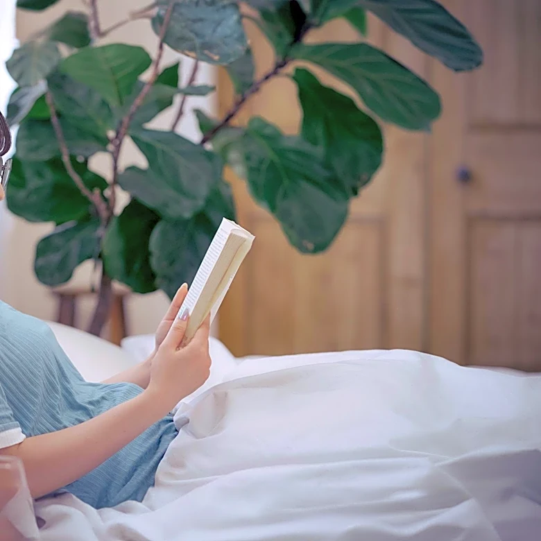 Reading as a Radical Luxury in the Age of Distraction