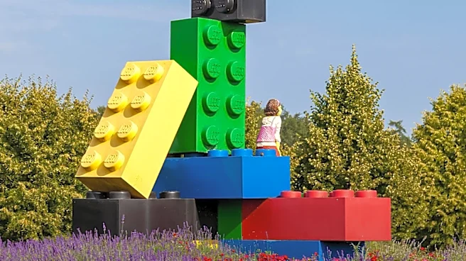 LEGO Masters and Fans Showcase Creativity at Tampa Brick Fan Event