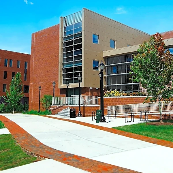 University of Maine Develops Renewable Wood Foam for Insulation