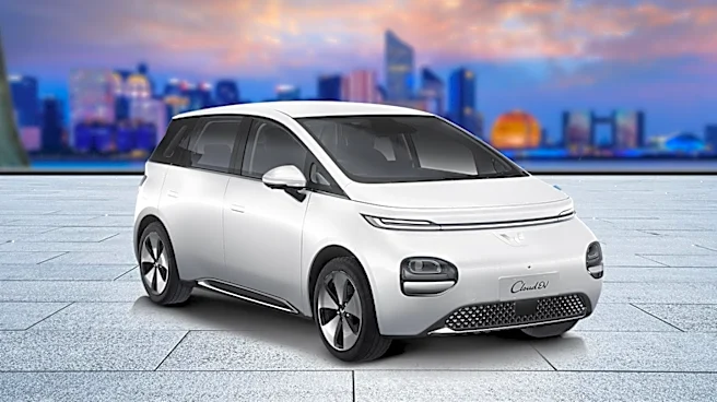 Survey Reveals Opinions on Chinese EVs Entering the U.S. Market